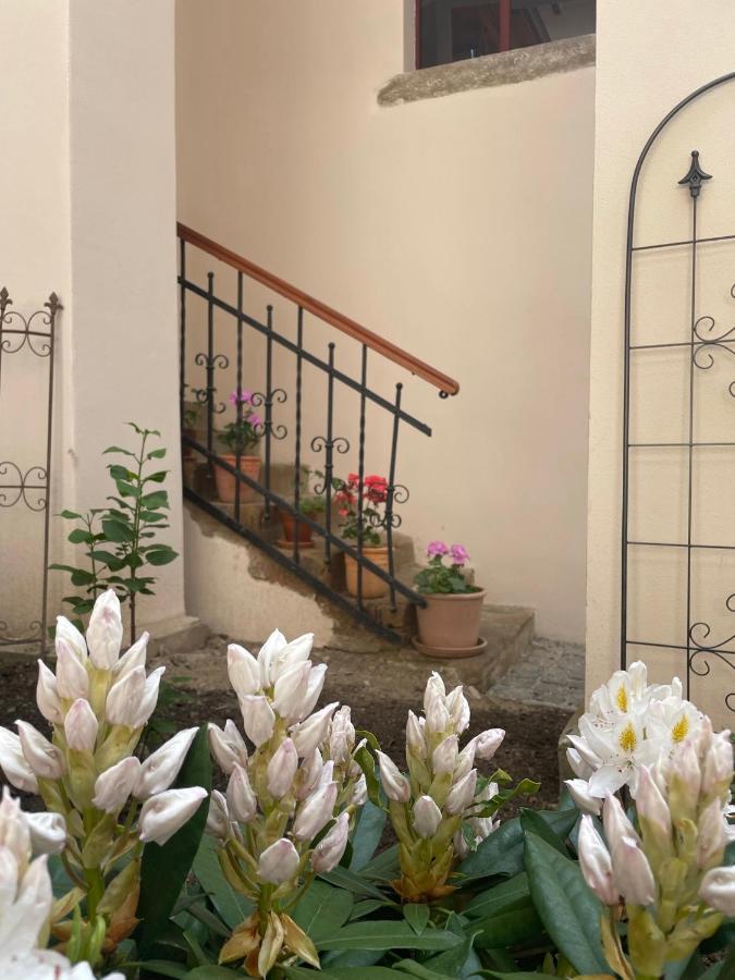 Levoča Historical Zaffir House - Market Square מראה חיצוני תמונה